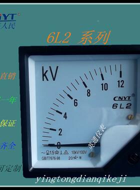 6L2-10kv/100V 6kv 35kv 100kv 电流电压表 高压表 电压互感器