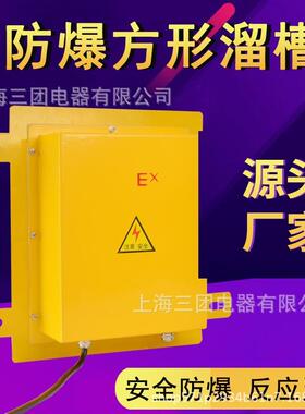 防爆方形溜槽堵塞检测器DS-1堵煤堵料开关XLDS-I堵塞检测器LDM-Y