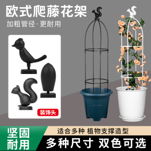 速发月季花花园艺爬藤架支架植物铁线支紫藤攀爬台莲撑架欧式花支