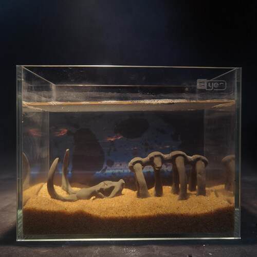 速发官手作 鱼缸水草缸造景水泥装饰摆饰大象动物骨头骷髅头骨