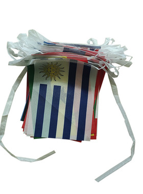 Qatar  FIFA World Cup Flags  14*21 CM  10 Meters 32 Countrie