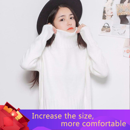 High Quality 2021 Autumn Winter Turtleneck Pullover Sweater
