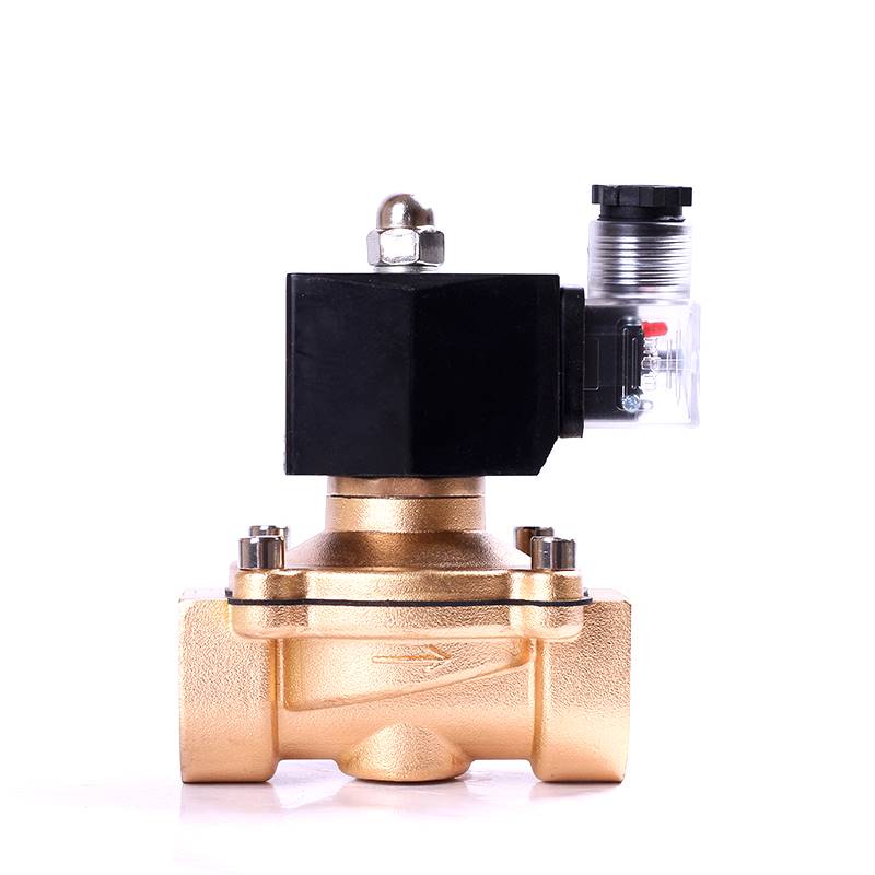 防水常闭电磁阀水阀铜开关气阀灌溉控制阀AC80V24V110V4分6分1寸