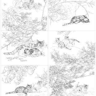 【无步骤】工笔画白描底稿邢诚爱猫咪一套六幅尺寸44*60厘米-07ZY