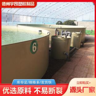 PP养殖池耐酸碱抗氧化养殖池抗冲击养殖设备白色循环水PP鱼池