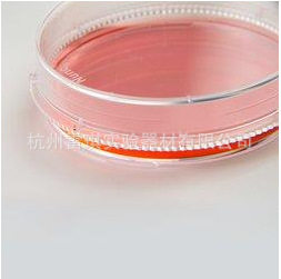NUNC 150466 100mm培养皿,带盖,透气,已灭菌,聚苯乙烯