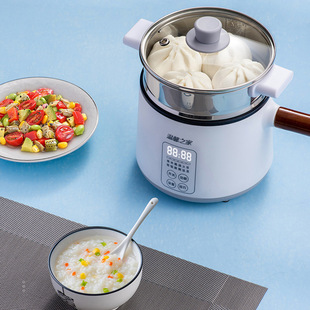 唐风学生宿舍办公蒸煮用多功能一体煮面锅迷你电煮锅带不锈钢蒸笼