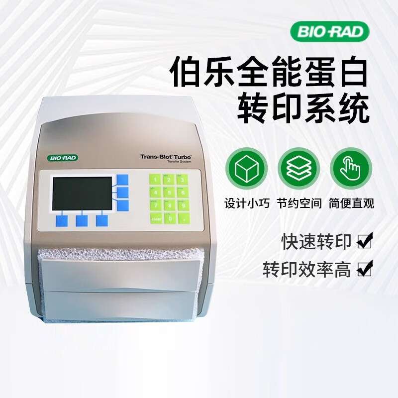 伯乐Bio-Rad蛋白全能转印Turbo系统快速Trans-Biot转膜仪 1704150