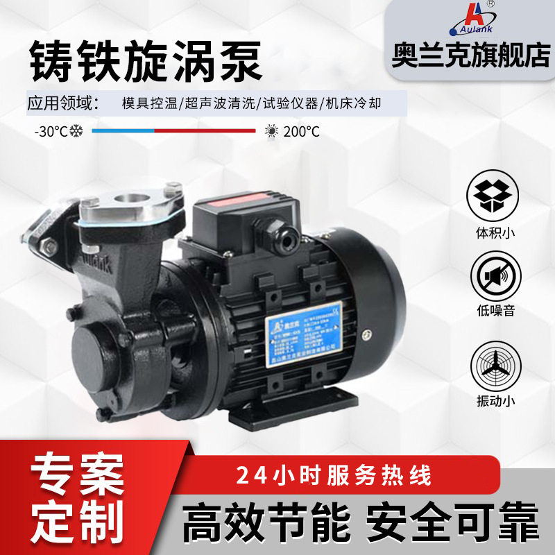 WF-10TS吸入式高温导热油循环泵 小型卧式导热油炉涡流管道增压泵
