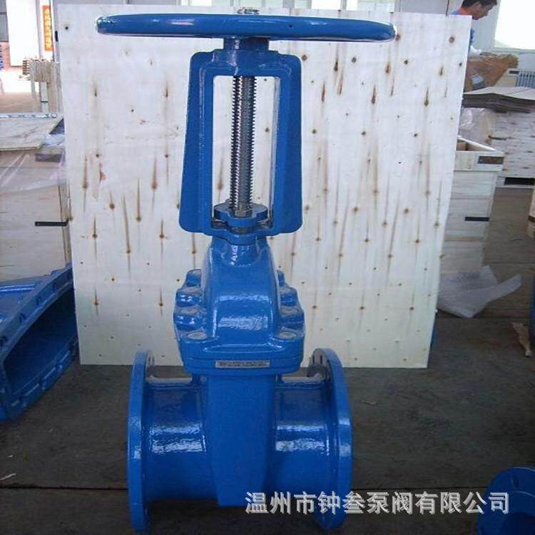 Z41X-16Q软密封明杆闸阀自来水务闸阀手动球铁法兰闸阀DN80图片