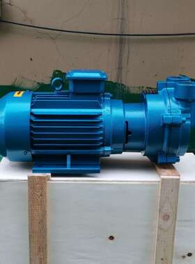 水环式真空泵2BV-2070