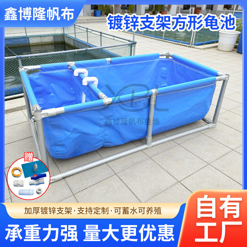 方形帆布篷布水池镀锌支架分隔区域繁殖养殖专用养龟池乌龟池水池