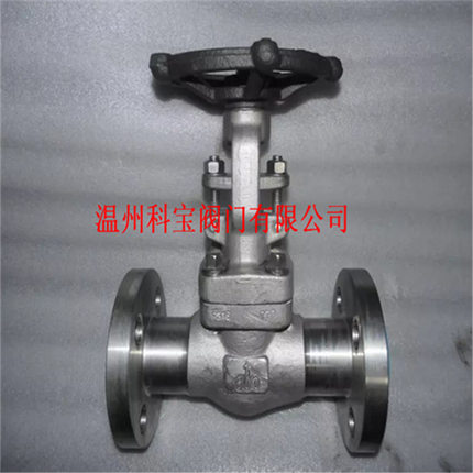 Z41W/H-16P  锻造高温高压手动法兰闸阀 3寸/2寸半 A105/F304