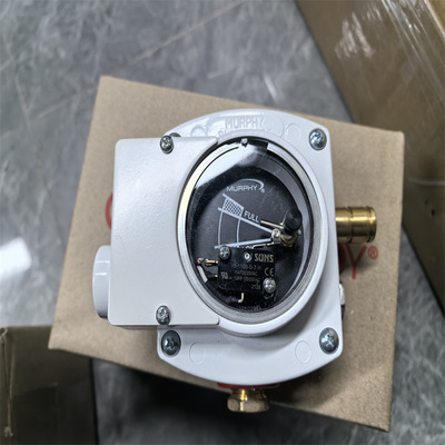 Renishaw雷尼绍  RESM20 USA300