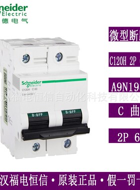 梅兰日兰C120H微小型断路器C曲线C120H 2P C63A空气开关A9N19801