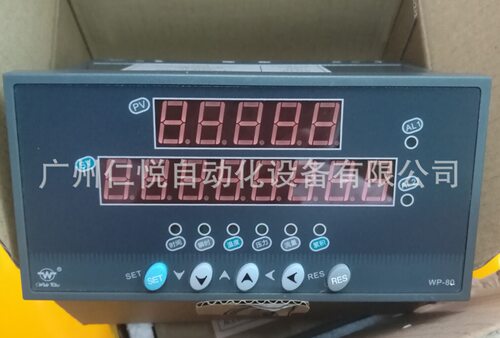 WP-L802-02-AAG-N-P流量积算仪