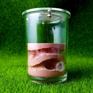 好货Ecological Plaster Ant Farm square Nest Landscaping Hous