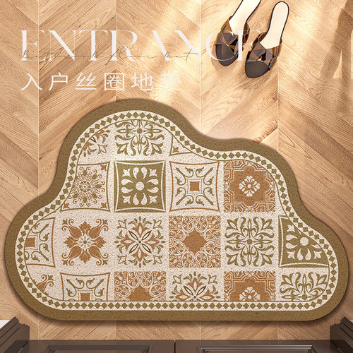 丝圈入户地垫云朵异形大门进门口脚垫家用门外蹭土防滑脚踏垫地毯