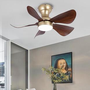 美式吸顶风扇灯简约现代房卧室吊扇家用餐厅吊顶电扇灯可做110V
