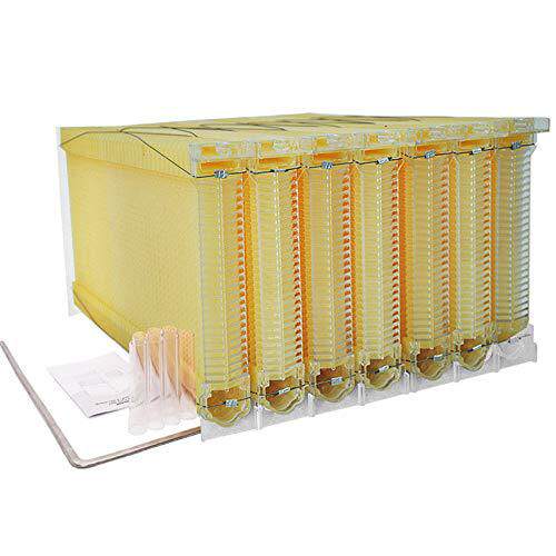 出口型热销蜂具7PCS自流蜜巢础蜂脾自流蜜蜂箱自动取蜜塑料巢础