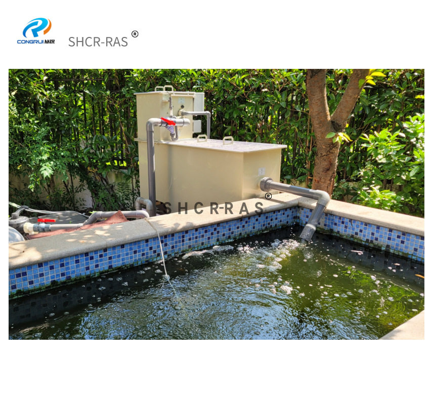 源头厂家 水体净化系统 微滤机 蛋白分离器 高密度循环水养殖