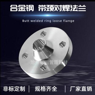 化工部标准HG/T20592合金钢 带颈对焊法兰 15CrMo  PN160 DN100