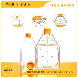 透明瓶密封盖透气盖TC处理实验室耗材无菌 细胞培养瓶掀盖式