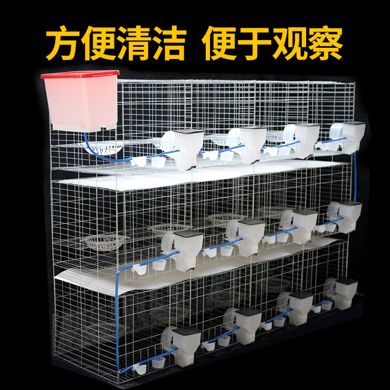 鸽子笼养殖镀锌鸽笼加粗养殖笼具肉鸽种鸽配对笼3层立式笼具批发