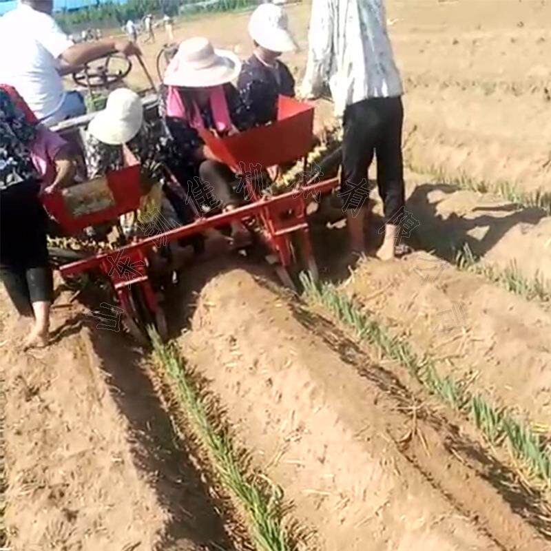 山西运城大葱移栽机自走式葱苗栽葱机辣椒茄子苗移栽机种葱机
