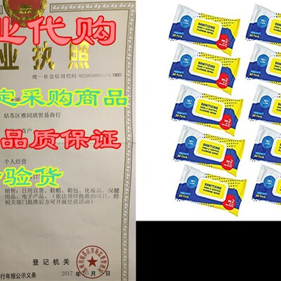 HEALTHIFY Sanitizing Hand Alcohol Wipes (10 Pack)