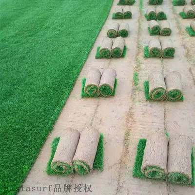 With soil, real lawn, turf, courtyard greening, green grass