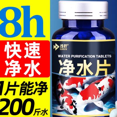 鱼缸净水片净化水质清澈澄清剂水立清除臭去腥锦鲤鱼池em硝化细菌
