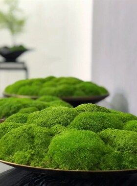好货新中式金属古铜色永生苔藓成品盆景绿色酒店前台吧台餐桌茶几