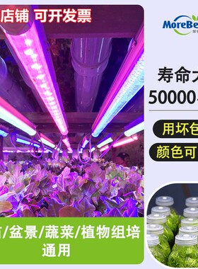 茉钡特生物植物补光灯仿太阳全光谱T8LED组培灯蔬菜盆景育苗生长