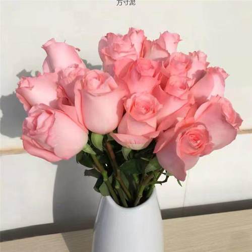 云南玫瑰鲜花基地直发玫瑰百合康乃馨向日葵洋桔梗鲜花速递日