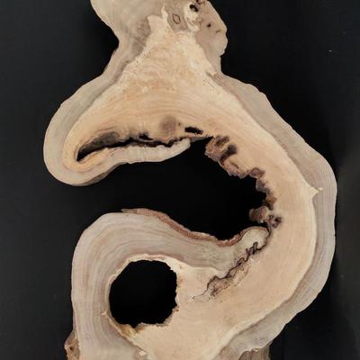 根雕木雕原木风化木枯木香龙柏木片年轮片摆件底托底座居家装饰品