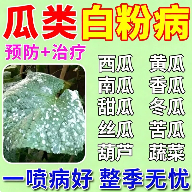 瓜类白粉病专用药西瓜青黄瓜