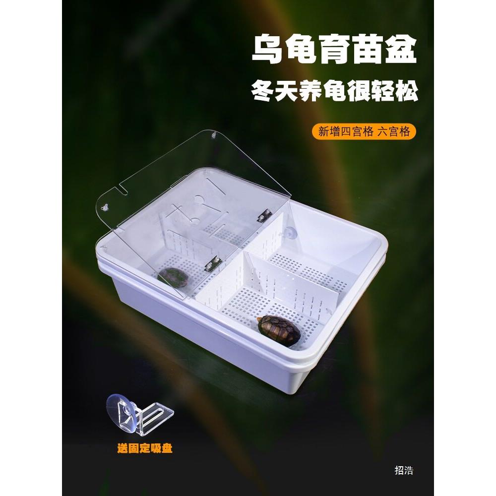 乌龟育苗防咬尾龟苗隔离盒沉淀盒饲养箱带盖粪便分离发色板隔离盒图片