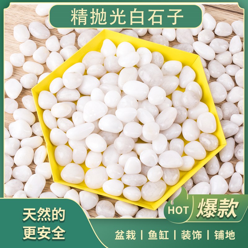 速发小白雨子面花石鹅卵石多肉铺石盆栽花盆庭院造景装饰白色石头