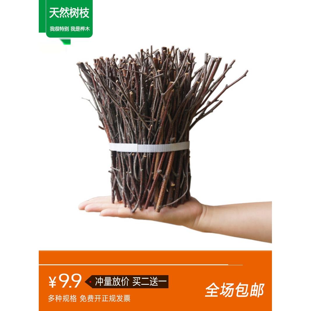 速发手工树枝装枝幼儿料森系创意干饰材园桌面细小造型树枯枝