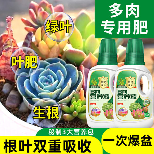速发多养肉营养液多料专用肥营养素肉多肥生根肉肉植物花肥增色肥