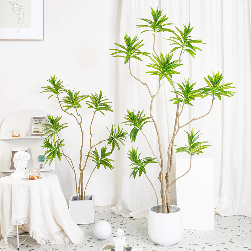 速发百合竹仿植大型室内景生植物装饰假盆栽盆绿客厅落地摆件树