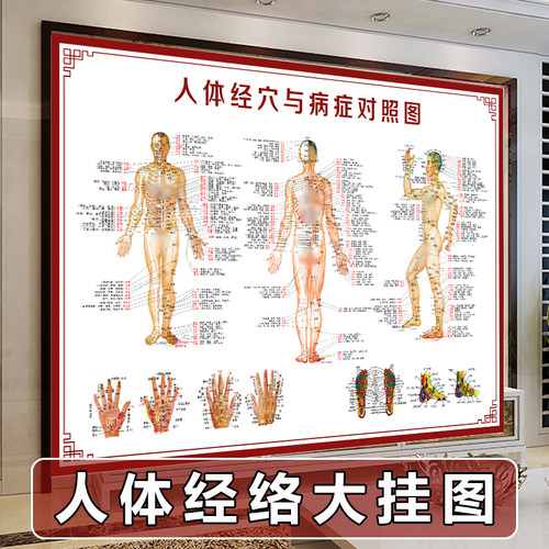 中医人体经络穴位图高清标准挂画