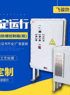 现做BQX防爆变频器控制箱柜厂用调整箱大功率11KW散热 防爆通风柜