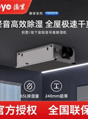 德业吊顶除湿机DY-C65DZ/A别墅地下室隐藏式安装485集控抽湿机