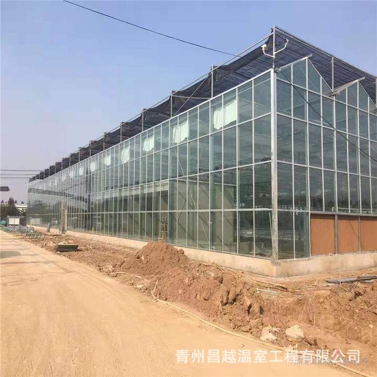 山东直销无土栽培生产玻璃温室热镀锌钢管骨架安装设计方案昌越