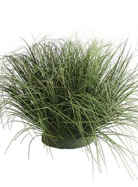 PCQ仿植真植物蒲草球造景摆件草店铺装饰草堆景假观芦苇草灌木绿