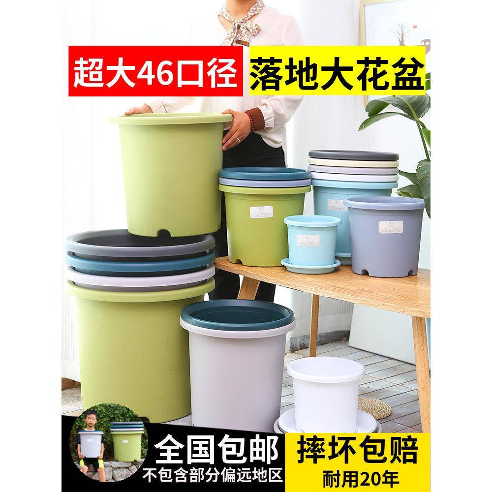15加仑7加仑6加仑大型四季加仑花盆特大号塑料盆种树大型落地绿植