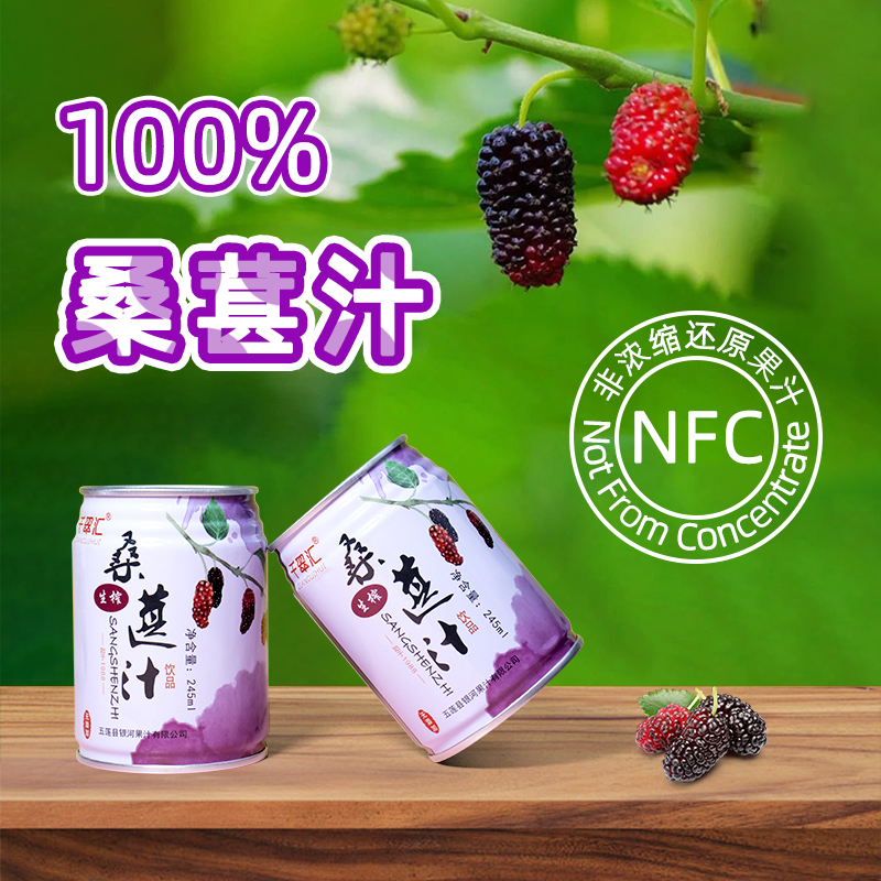 桑葚汁NFC果汁饮料非浓缩还原桑果汁245ml*8罐装整箱桑果原汁
