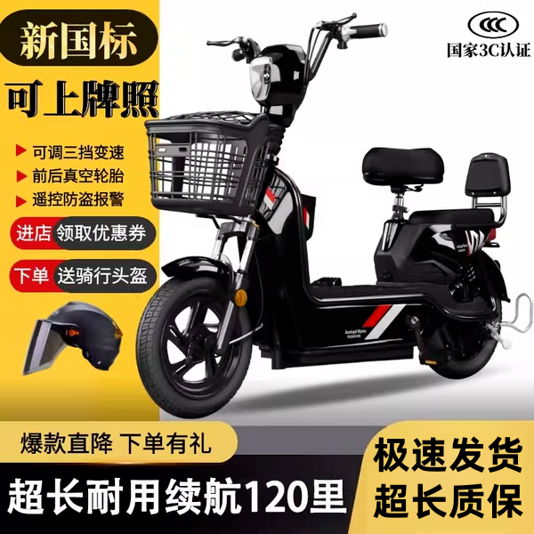 台铃电动车新国标电动车电瓶车自行车助力女式小型高续航电车女生